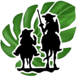 logo_solo2
