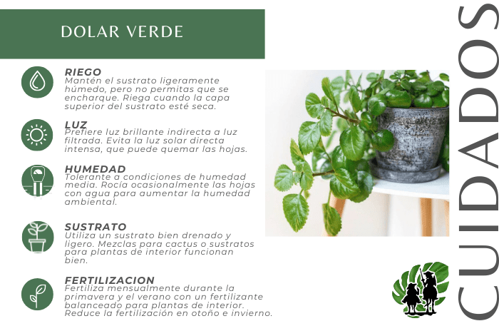 Dólar Verde 5